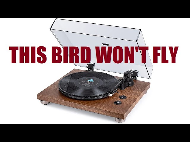 The 1byOne Rock Pigeon turntable is a turkey