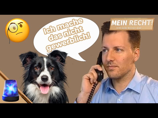"Alles auf Vertrauensbasis"🤥 RÜCKTRITTSRECHT beim Hundekauf?🐕 | Mein Recht! Ich geb nicht auf | ATV