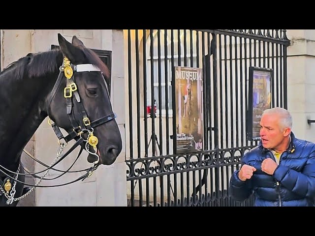 SERVED HIM RIGHT! Nippy King's Horse bites a disrespectful tourist as the Guard tries not to laugh!