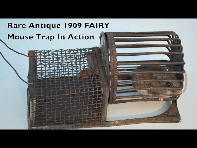 Rare Antique 1909 FAIRY Mouse Trap In Action - Complete With A Fun Exercise Wheel.