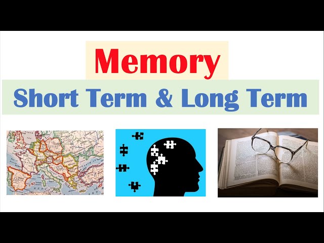 Types of Memory | Short Term & Working Memory, Long Term Memory (Explicit and Implicit)