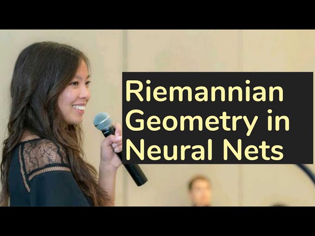Principles of Riemannian Geometry in Neural Networks | TDLS