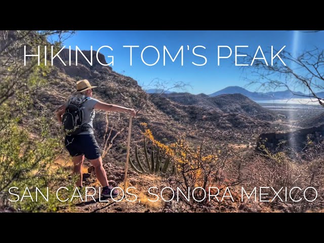San Carlos, Sonora Mexico: Hiking Tom's Peak