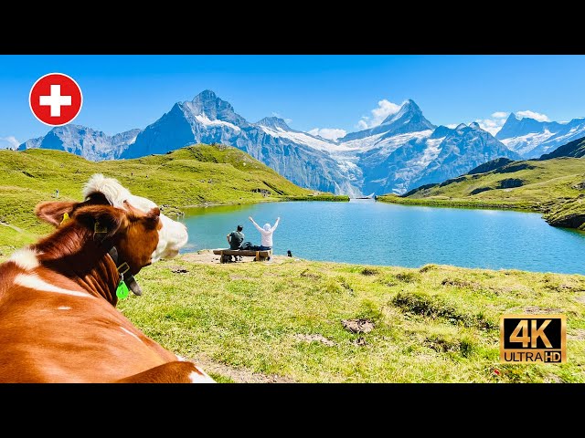Heavenly Switzerland - Bachalpsee , Alpine Lake In Grindelwald