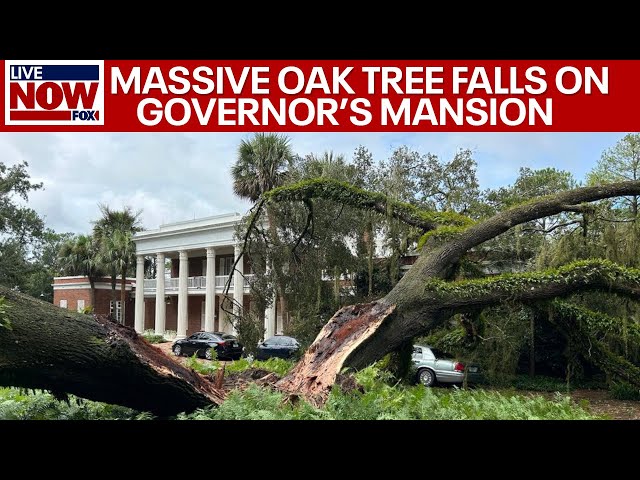 Hurricane Idalia: Florida Governor's Mansion hit by 100-year-old Oak Tree | LiveNOW from FOX