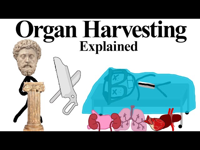 Organ Harvesting Explained