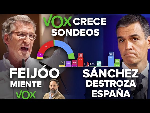 ¡VOX CRECE EN SONDEOS EUROPEAS, FEIJÓO MIENTE CONTRA VOX Y ABASCAL Y SÁNCHEZ DESTROZA ESPAÑA!