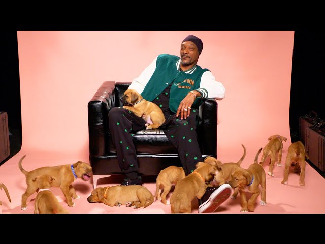Snoop Dogg: The Puppy Interview