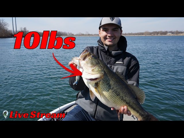Easy Strategies to Catch The Biggest Bass In Your Lake ft. TylersReelFishing | FTM Livestream #121