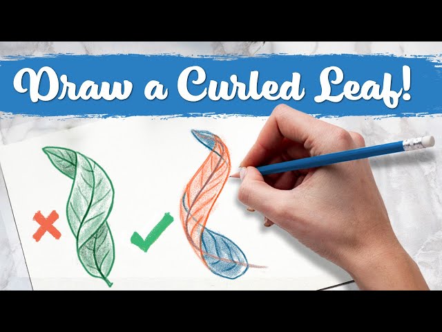 Draw Leaves Correctly & Common Errors Beginners Make