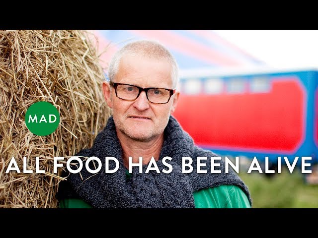 All Food Has Been Alive | Søren Wiuff, Farmer