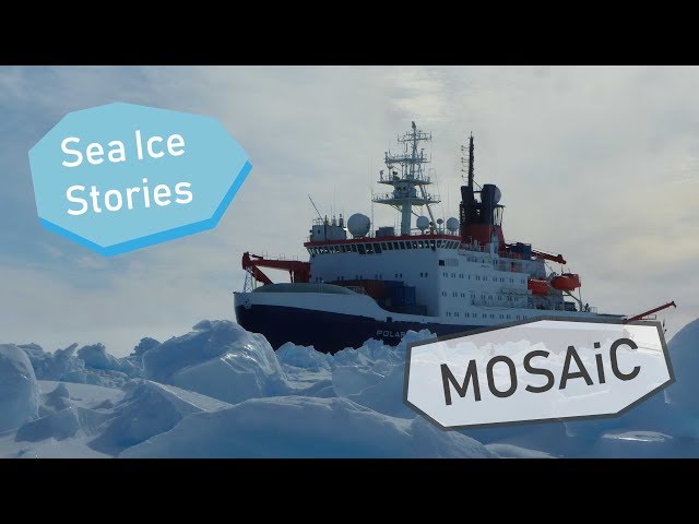 The MOSAiC Expedition