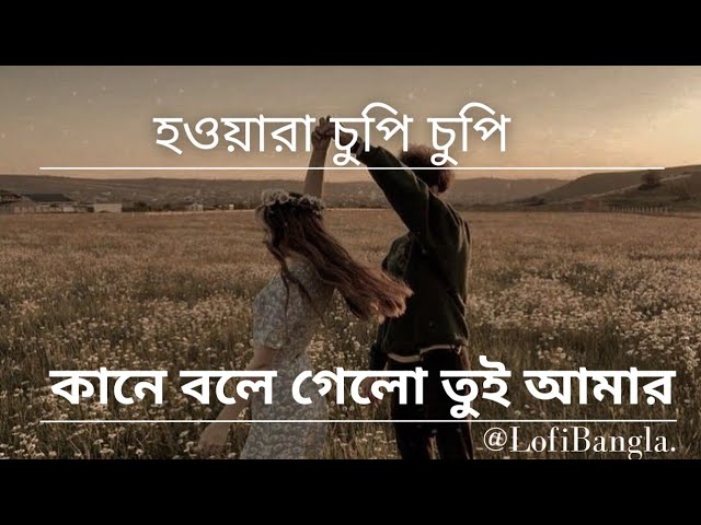 হাওয়ারা চুপি চুপি কানে বলে গেলো | Bangla Song| Lofi Song| Romantic Song #lofi #bengalistatus