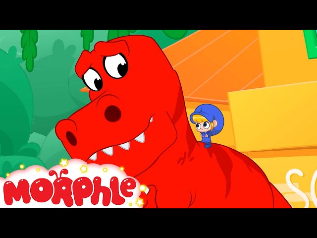 The Scary Animal Bandits | Morphle | Learning Videos For Kids | Education Show For Toddlers