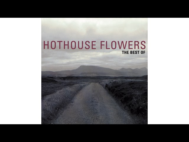 Hothouse Flowers - Love Don't Work This Way