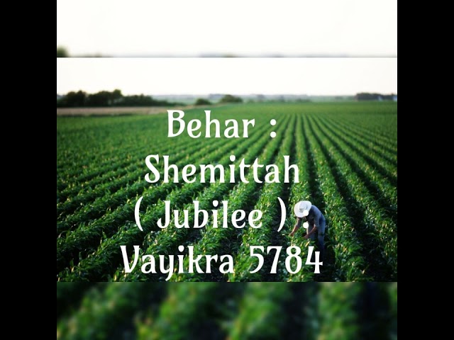 Behar | Shemittah | Vayikra 5784