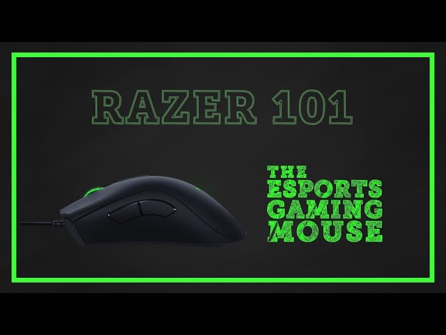 Razer 101 | Deathadder Elite - The Esports Gaming Mouse