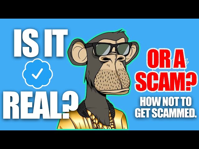 How not to get scammed on YOUTUBE! ✅✅✅