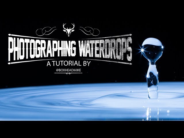 How to do water drop photography - All YOU need to know!