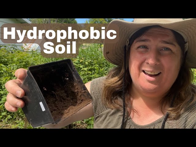 Hydrophobic Soil And How To Correct It