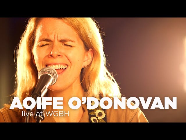 Aoife O’Donovan (with string quartet) – Live at WGBH