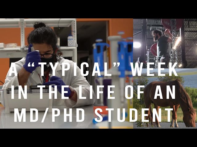 A "Typical" Week in the Life of MD PhD (medical and graduate) student