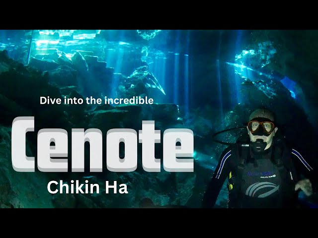 CENOTE DIVING IN MEXICO! (You won’t regret it )