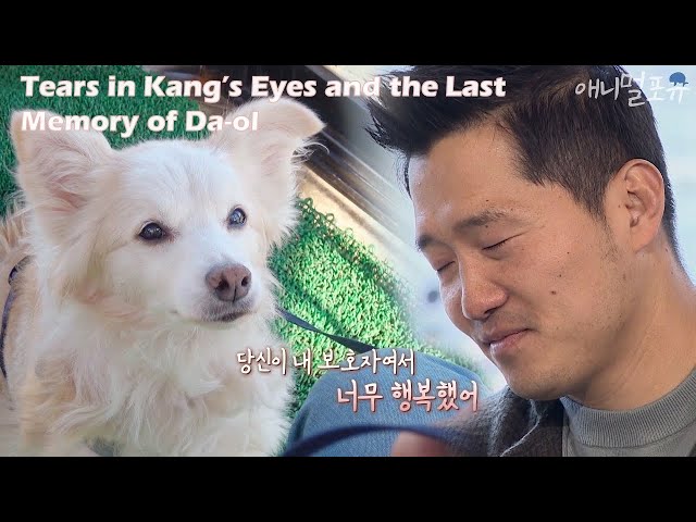 Tears in Kang's Eyes and the Last Memory of Da-ol [Dogs Are Incredible]