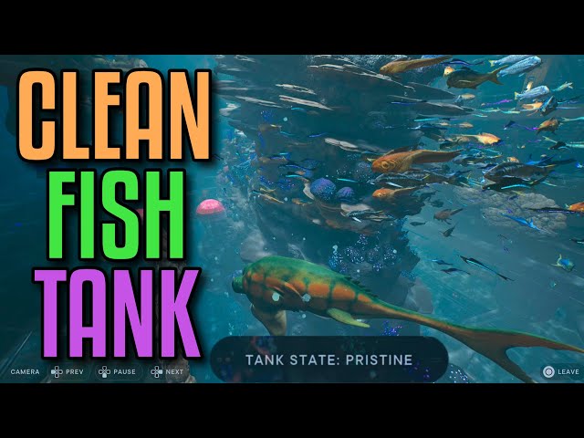 Star Wars Jedi Survivor How to Clean Fish Tank