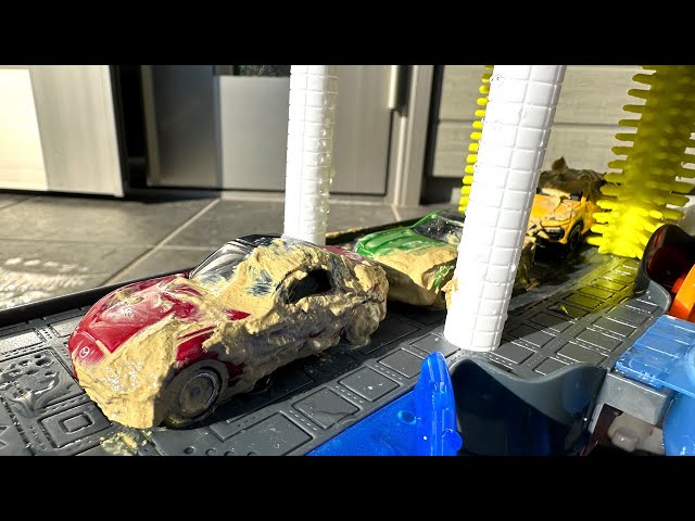 Let's wash 12 muddy Tomica (mini cars)!