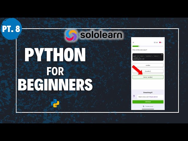 Functions | Introduction to Python Sololearn (ANSWERS)