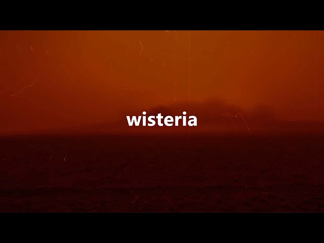 ghxsted - wisteria