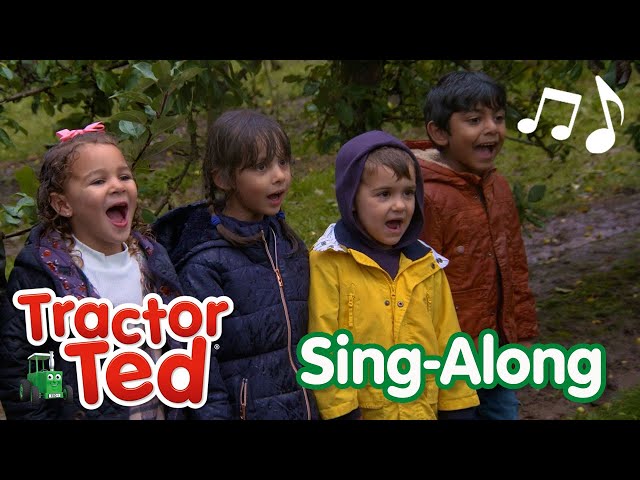 Apple Harvester Song 🍎 | Tractor Ted Sing-Along 🎶 | Tractor Ted Official Channel
