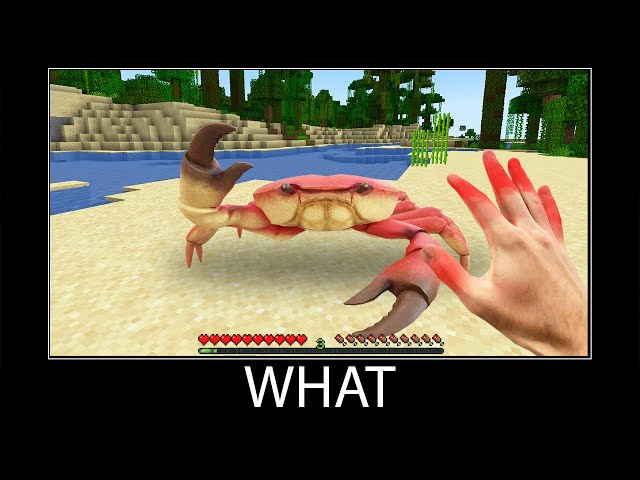 Minecraft wait what meme part 287 realistic minecraft Crab