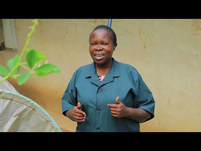 Producing Biogas from Water Hyacinth - Sustainable Innovations