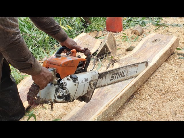 Wood Cutting Machine Chainsaw Stihl MS070 Sawing Process Skills