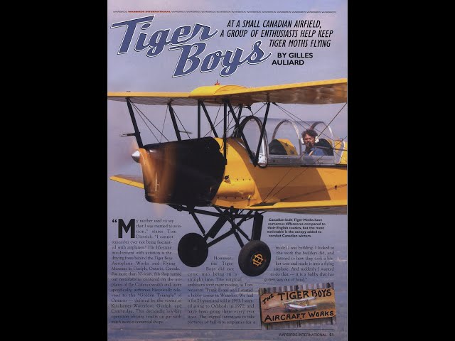 The Tiger Boys (& Girl)