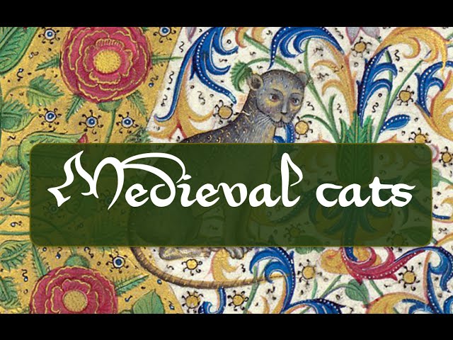 Medieval cat drawings