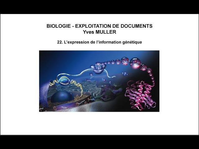 22. The expression of genetic information