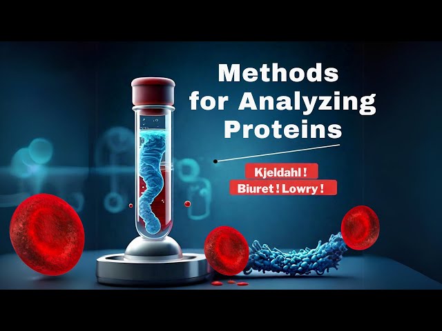 ASCP - MLS - MLT - Chemistry - Biochemistry | Methods for Analyzing Proteins | Clinical chemistry