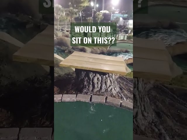 WOULD YOU SIT ON THIS?? #shorts #memes #funny #tiktok #funnyvideos #viral #viralvideo #foryou