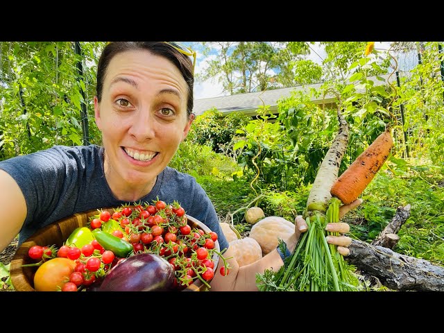 How I SAVED $240 on my monthly GROCERY BILL (Florida Gardening Tips)