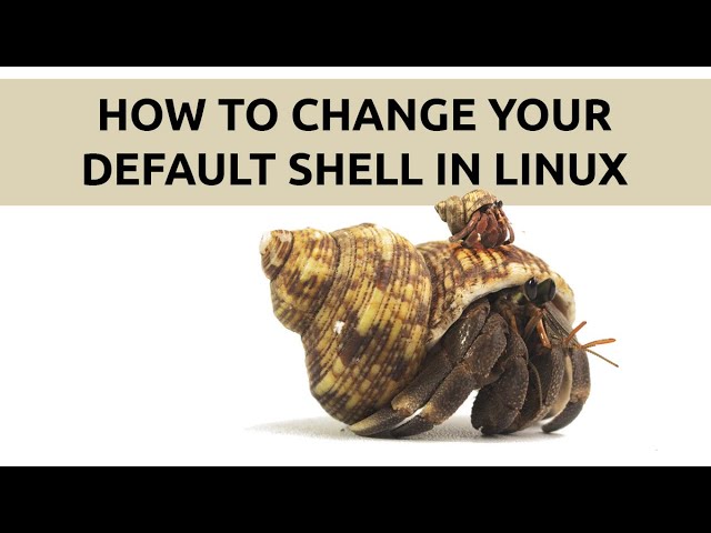 How to change your current or default shells in Linux.