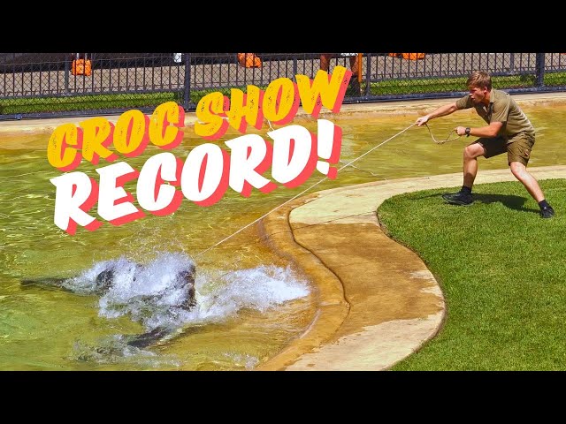 The Most Death Rolls EVER at Australia Zoo! Croc Show with Robert, Bindi and Terri Irwin