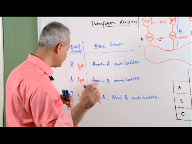 Hematology Lecture 1 Blood Transfusion Reaction Part 2/3