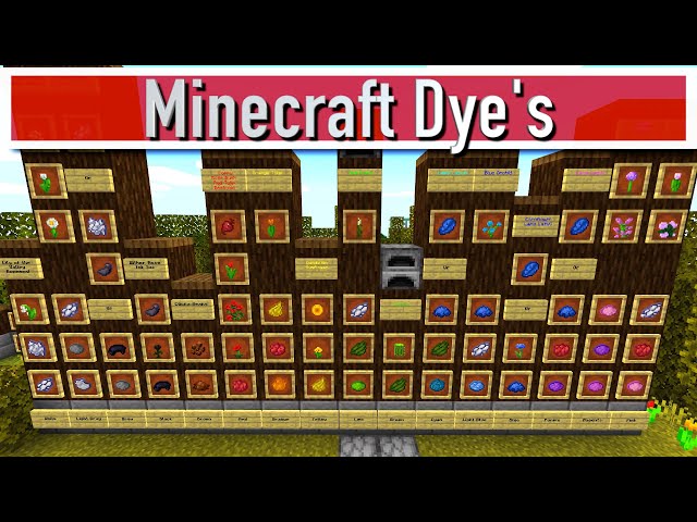 Minecraft Dye Guide