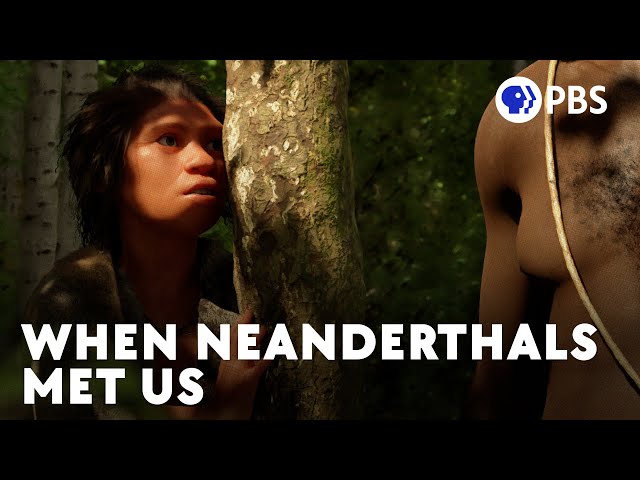 There’s Something Weird About Neandertal DNA And It Might Be Our Fault