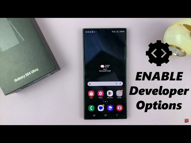 How To Enable Developer Options In Samsung Galaxy S24 / S24+ / S24 Ultra