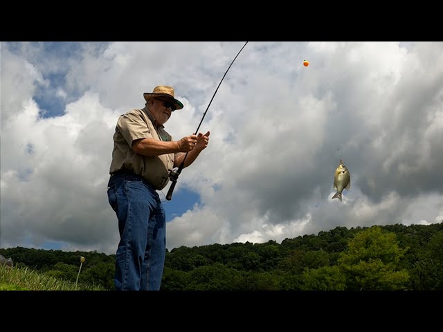 Pond fishing with Phillip Williams