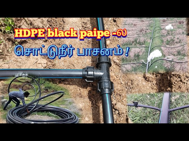 HDPE பைப்ல சொட்டுநீர் பாசனம்/ Drip irrigation system/ NK SAKA